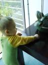 What can I get my little mitts on now...